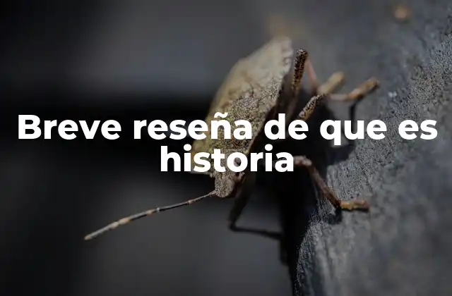 Breve Reseña de que es Historia