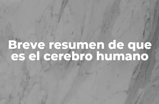 Breve Resumen de que es el Cerebro Humano