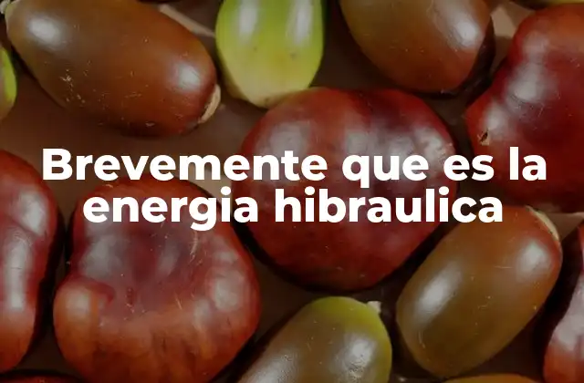Brevemente que es la Energia Hibraulica