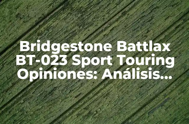 Bridgestone Battlax Bt-023 Sport Touring Opiniones: Análisis Detallado