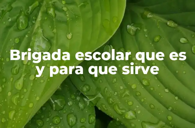 Brigada Escolar que es y para que Sirve