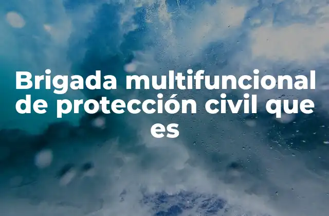 Brigada Multifuncional de Protección Civil que es