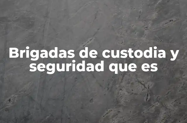 Brigadas de Custodia y Seguridad que es