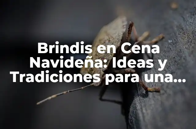 Brindis en Cena Navideña: Ideas y Tradiciones para una Noche Inolvidable