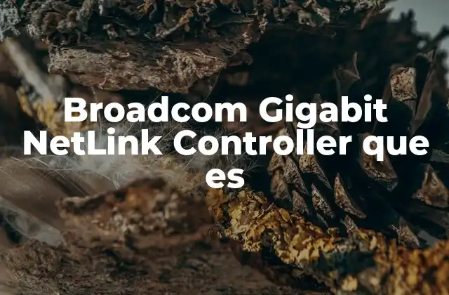 Broadcom Gigabit Netlink Controller que es