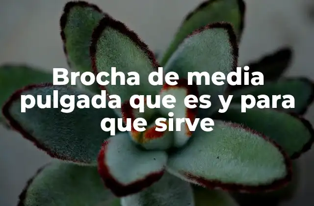 Brocha de Media Pulgada que es y para que Sirve