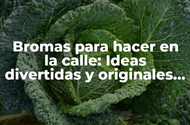 Bromas para Hacer en la Calle: Ideas Divertidas y Originales para Sorprender a Tus Amigos