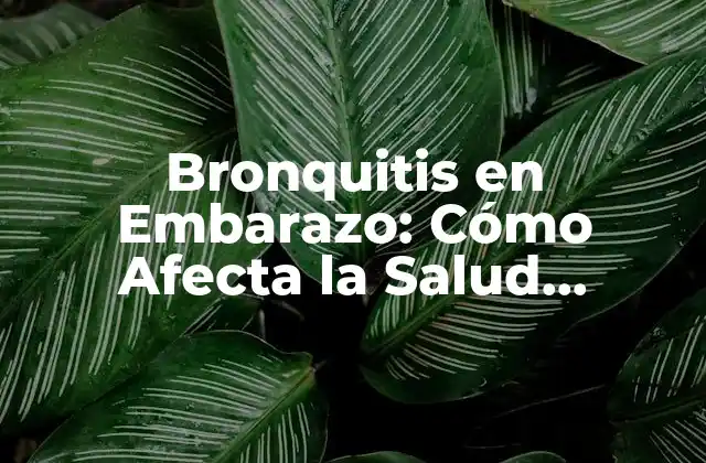 Bronquitis en Embarazo: Cómo Afecta la Salud Materna y Fetal