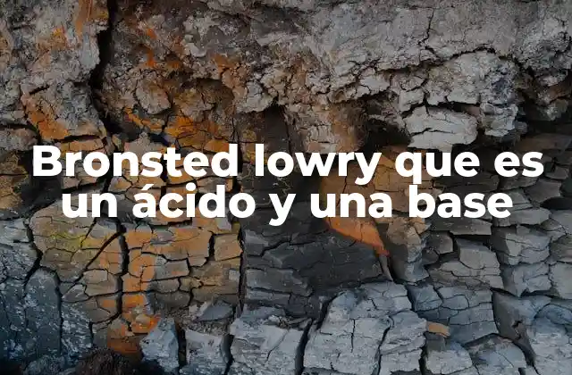 Bronsted Lowry que es un Ácido y una Base