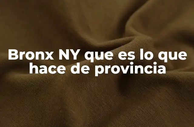Bronx Ny que es Lo que Hace de Provincia