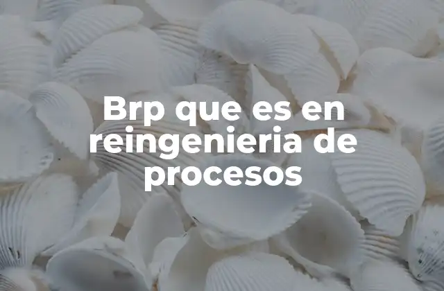 Brp que es en Reingenieria de Procesos