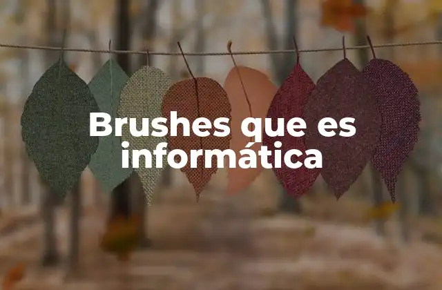 Brushes que es Informática