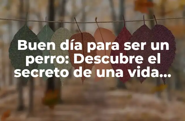 Buen Día para Ser un Perro: Descubre el Secreto de una Vida Canina Feliz