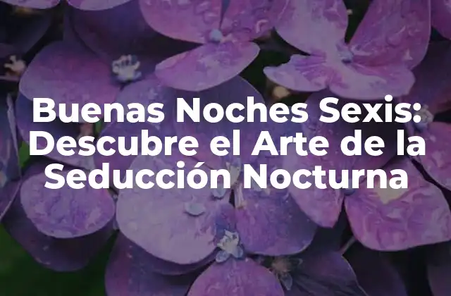 Buenas Noches Sexis: Descubre el Arte de la Seducción Nocturna