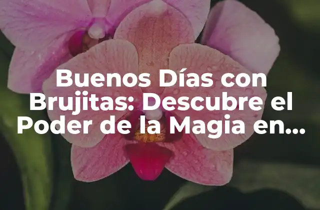 Buenos Días con Brujitas: Descubre el Poder de la Magia en Tus Mañanas