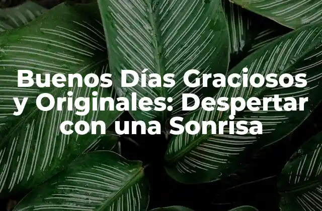 Buenos Días Graciosos y Originales: Despertar con una Sonrisa