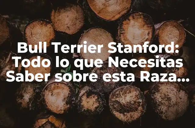 Bull Terrier Stanford: Todo Lo que Necesitas Saber sobre Esta Raza Canina Única