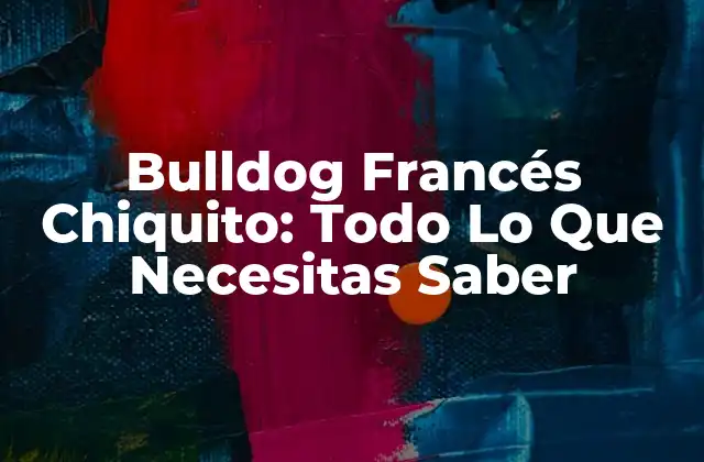 Bulldog Francés Chiquito: Todo Lo que Necesitas Saber