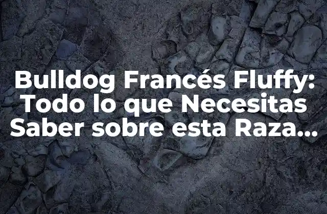 Bulldog Francés Fluffy: Todo Lo que Necesitas Saber sobre Esta Raza de Perro