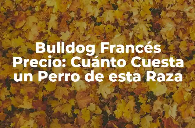¿Cuánto Cuesta un Bulldog Francés en España?
