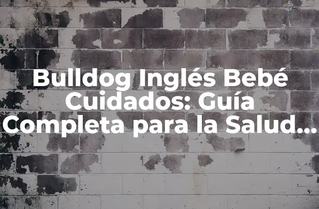 Bulldog Inglés Bebé Cuidados: Guía Completa para la Salud y el Bienestar