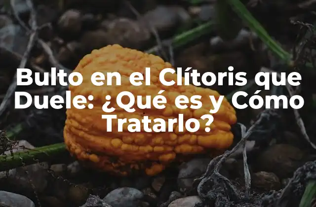 Bulto en el Clítoris que Duele: ¿qué es y Cómo Tratarlo?