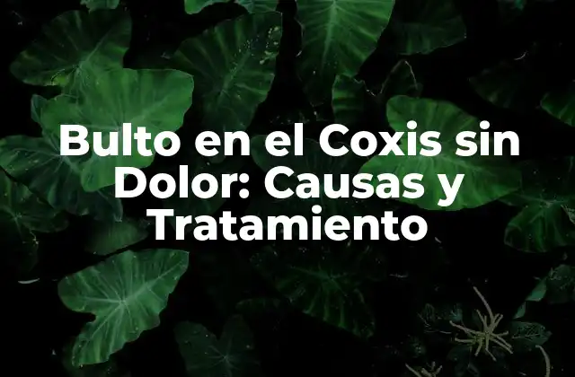 Bulto en el Coxis sin Dolor: Causas y Tratamiento 2 ¿Qué es un Bulto en el Coxis sin Dolor?