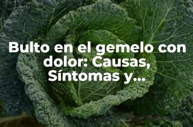 Bulto en el Gemelo con Dolor: Causas, Síntomas y Tratamiento 2 ¿Qué es un bulto en el gemelo?