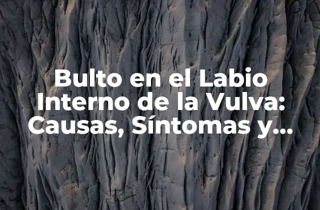 Bulto en el Labio Interno de la Vulva: Causas, Síntomas y Tratamiento