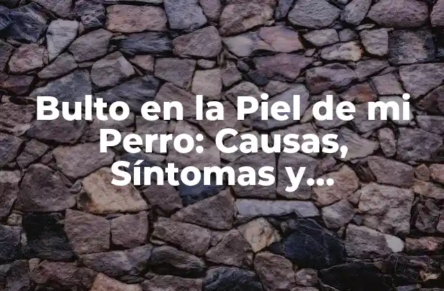 Bulto en la Piel de Mi Perro: Causas, Síntomas y Tratamiento