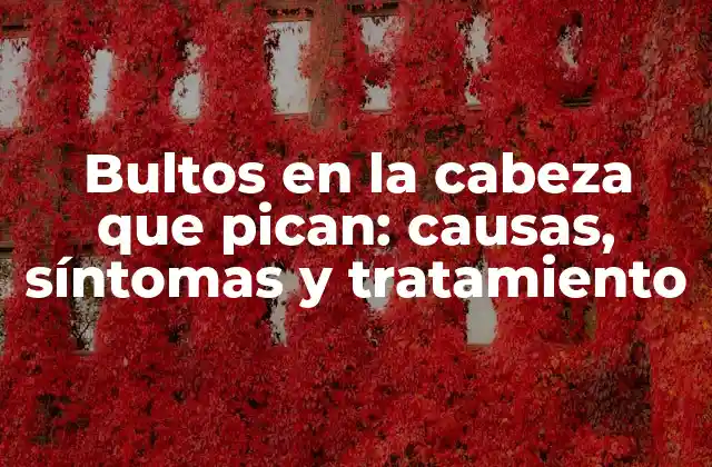 Bultos en la Cabeza que Pican: Causas, Síntomas y Tratamiento