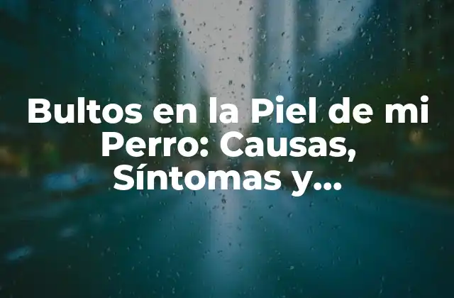 Bultos en la Piel de Mi Perro: Causas, Síntomas y Tratamientos