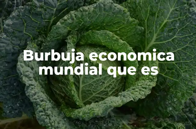 Burbuja Economica Mundial que es