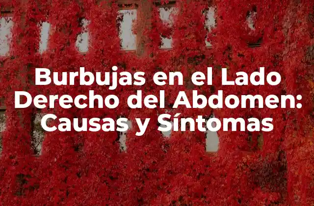 Burbujas en el Lado Derecho Del Abdomen: Causas y Síntomas