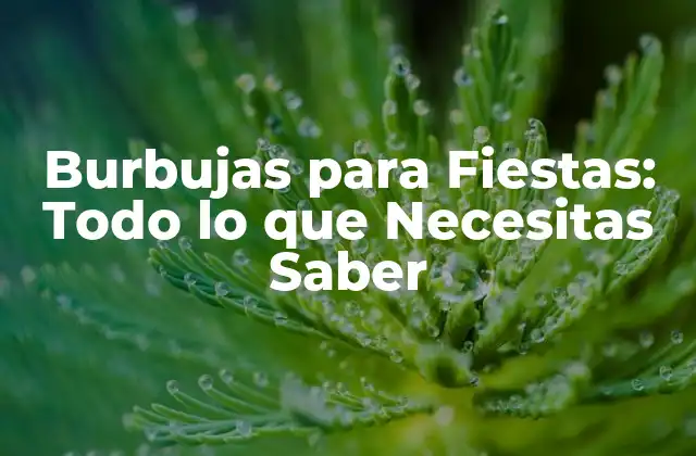 Burbujas para Fiestas: Todo Lo que Necesitas Saber