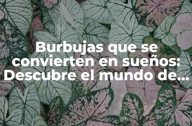 Burbujas que Se Convierten en Sueños: Descubre el Mundo de la Creatividad y la Inspiración 2 ¿Qué son las burbujas que se convierten en sueños?