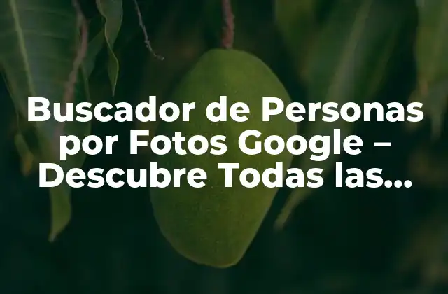 Buscador de Personas por Fotos Google – Descubre Todas las Formas de Encontrar a Alguien