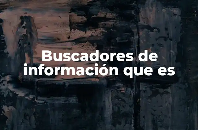 Buscadores de Información que es
