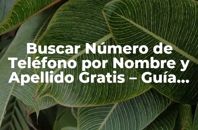 Buscar Número de Teléfono por Nombre y Apellido Gratis - Guía Completa 2 ¿Por qué Buscar Número de Teléfono por Nombre y Apellido es Importante?