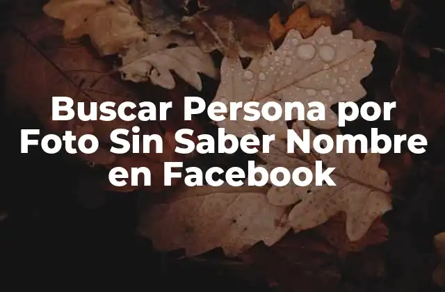 Buscar Persona por Foto sin Saber Nombre en Facebook