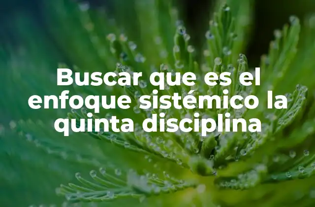 Buscar que es el Enfoque Sistémico la Quinta Disciplina