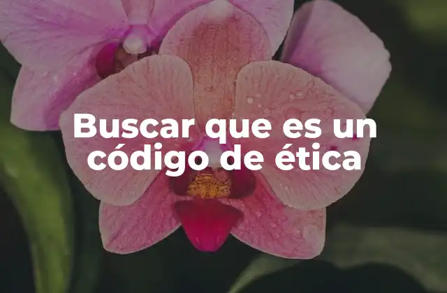 Buscar que es un Código de Ética