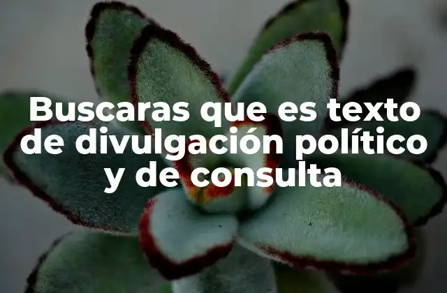 Buscaras que es Texto de Divulgación Político y de Consulta