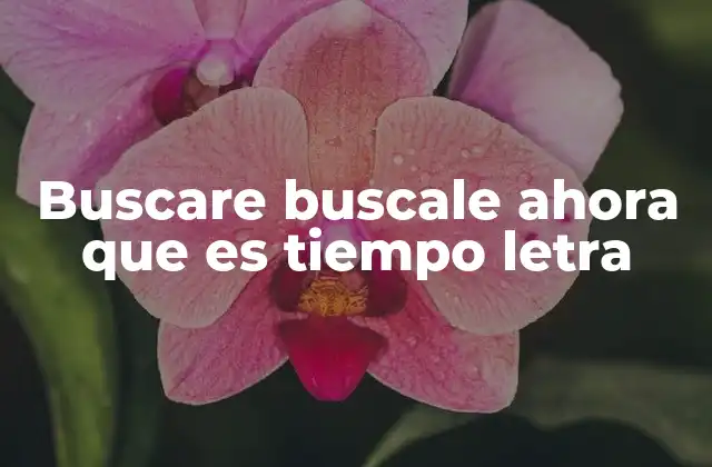 Buscare Buscale Ahora que es Tiempo Letra 2 La importancia de las letras en la música argentina