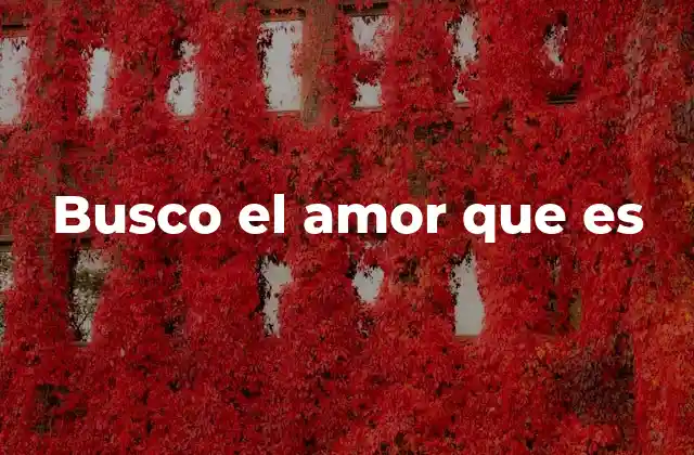 Busco el Amor que es