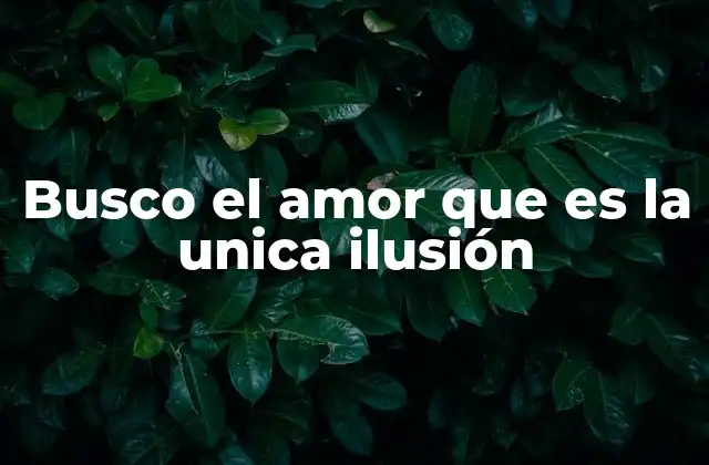 Busco el Amor que es la Unica Ilusión