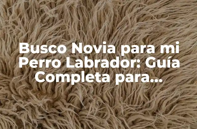 Busco Novia para Mi Perro Labrador: Guía Completa para Encontrar la Pareja Perfecta