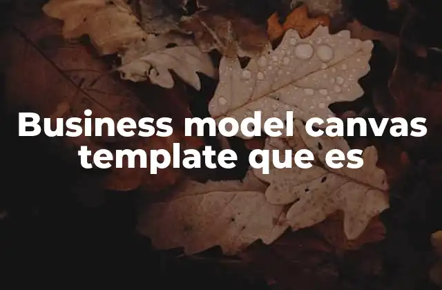 Business Model Canvas Template que es