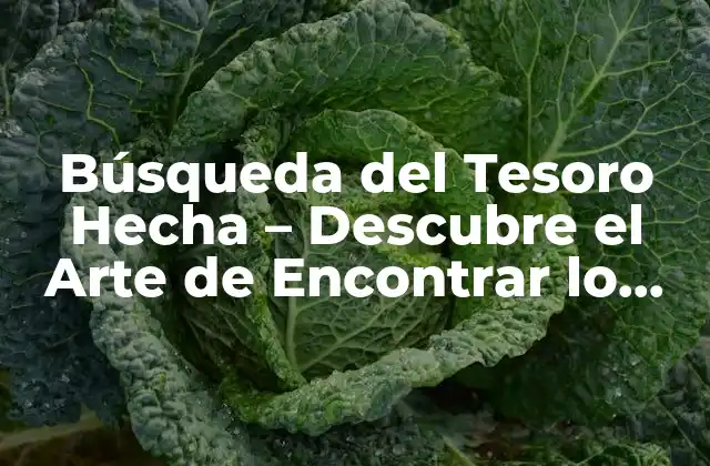 Búsqueda Del Tesoro Hecha – Descubre el Arte de Encontrar Lo Inesperado