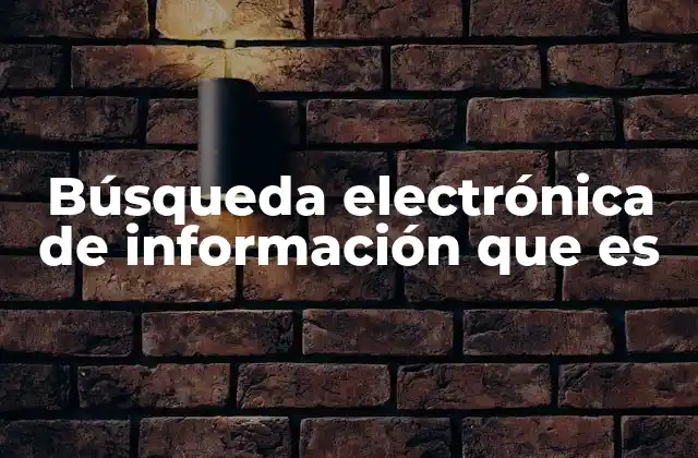 Búsqueda Electrónica de Información que es